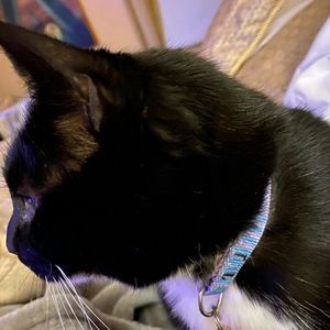 Meet your Posher, Robyn